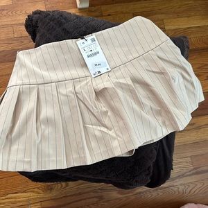 Zara Striped Pleated Skirt